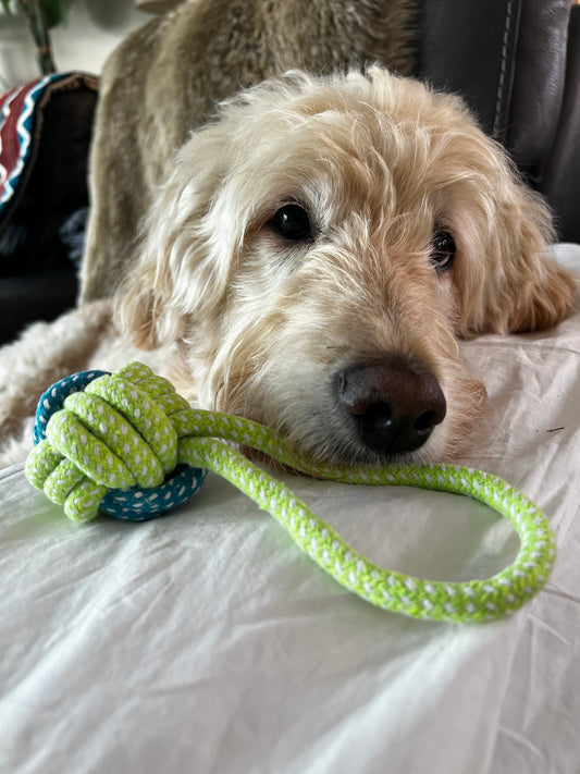 Hundespielzeug/Zergel aus Baumwolle