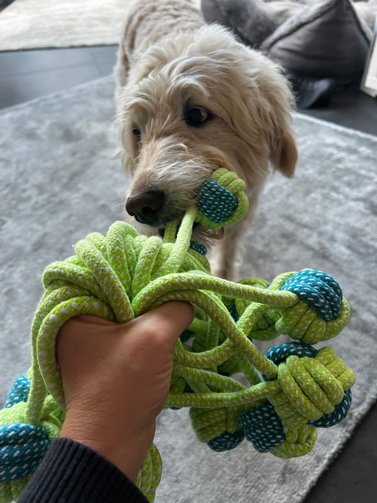 Hundespielzeug/Zergel aus Baumwolle